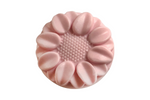 Body Cleansing Bar