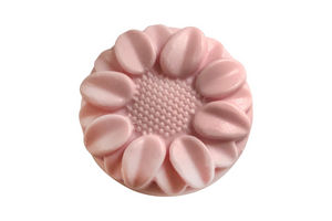 Body Cleansing Bar